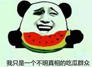形容吃瓜群众吃的瓜的句子,揭秘吃瓜群众的瓜中奥秘